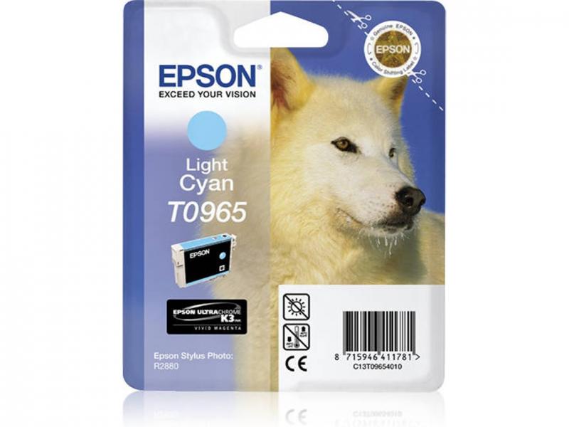 Epson T096540