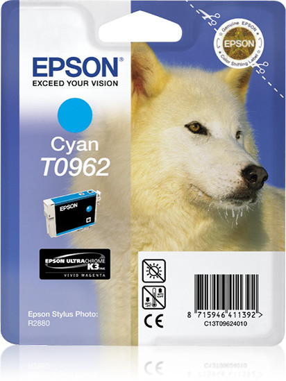 Epson T096240
