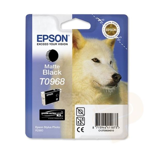 Epson T096840