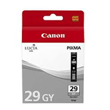 Canon Pgi29gy Cinzento