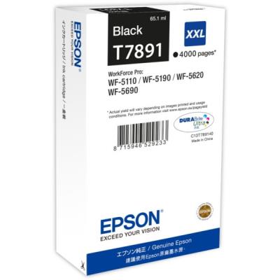 Epson T789140 