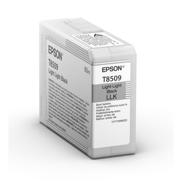 Epson T850900	Cinzento Claro